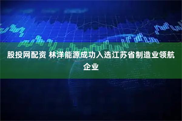 股投网配资 林洋能源成功入选江苏省制造业领航企业