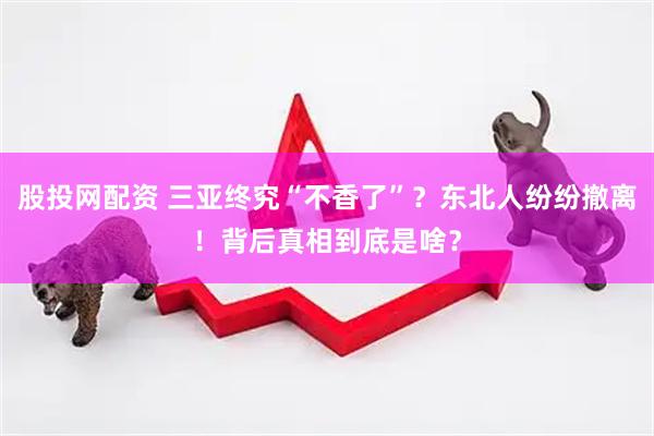 股投网配资 三亚终究“不香了”？东北人纷纷撤离！背后真相到底是啥？