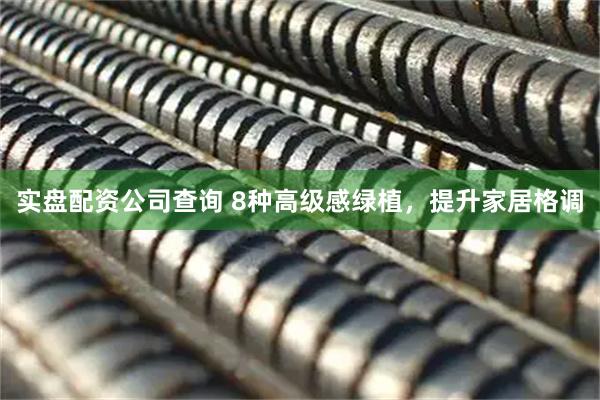 实盘配资公司查询 8种高级感绿植，提升家居格调